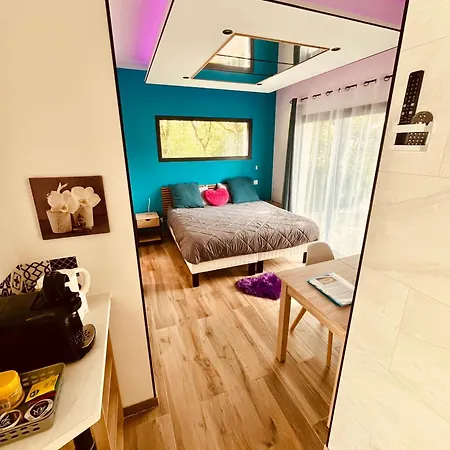Avec Jacuzzi Interieur Proche Blagnac *